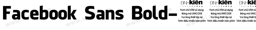 Facebook Sans Bold字体转换